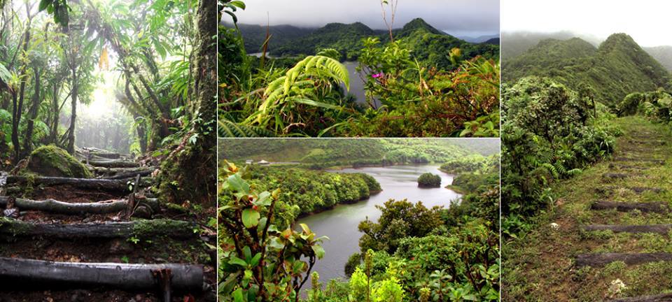 Lifestyle Galleries Apartments Dominica